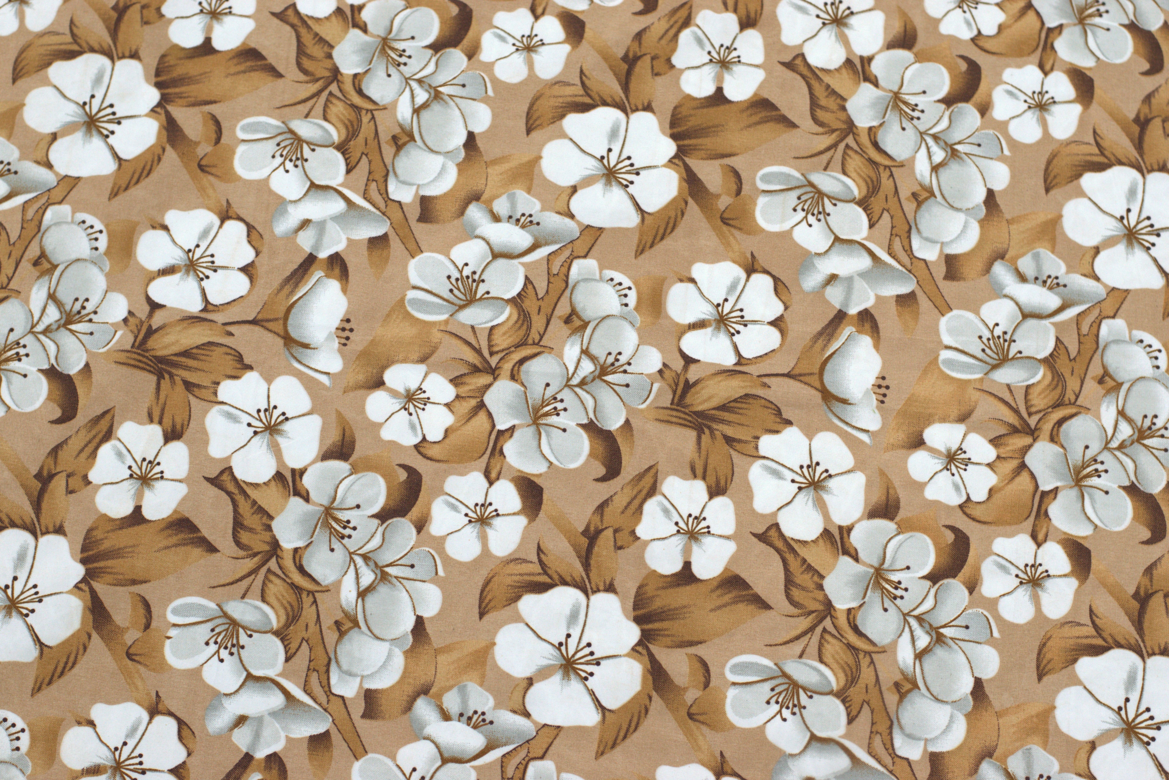 Soft Feel Blend Floral Bedsheet Set – Brown &amp; White | 225x250 cm