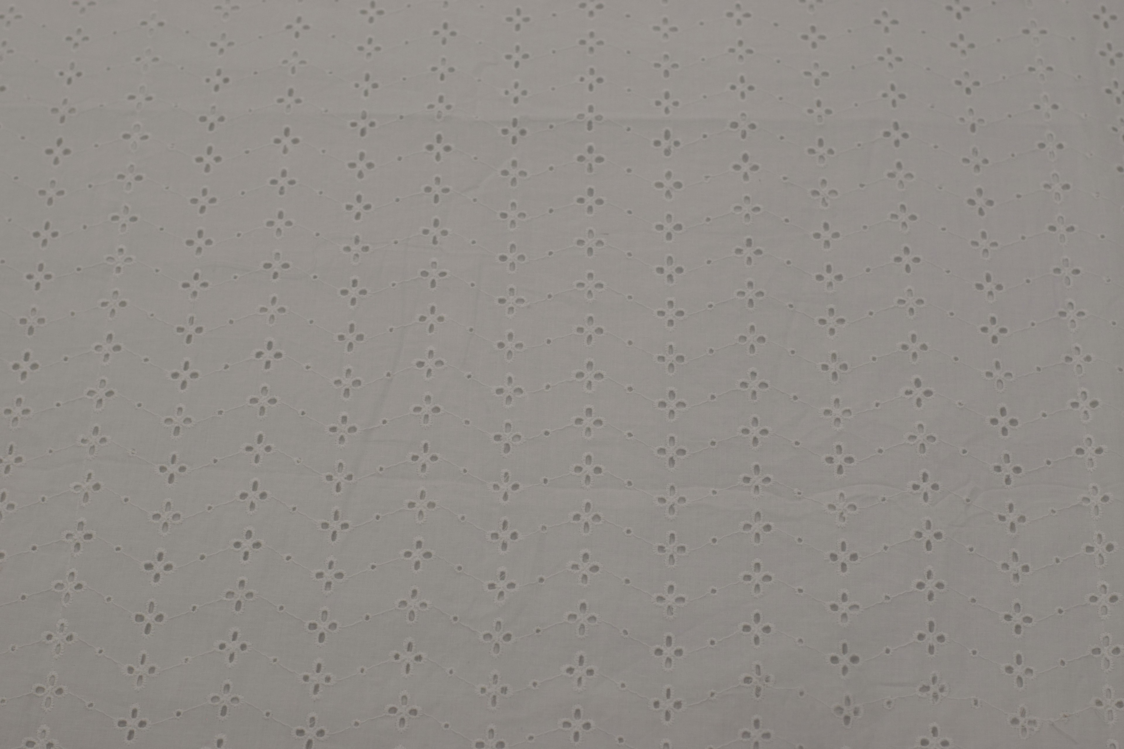 Queen Size White Hakoba Cotton Bedsheet with Floral Print Border (240x240 cm)