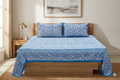 Blue Floral Printed Super King Size Bedsheet with 2 Pillow Covers - Main Product Image - Floral Printed - Nushio